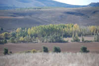 Numantia landscape